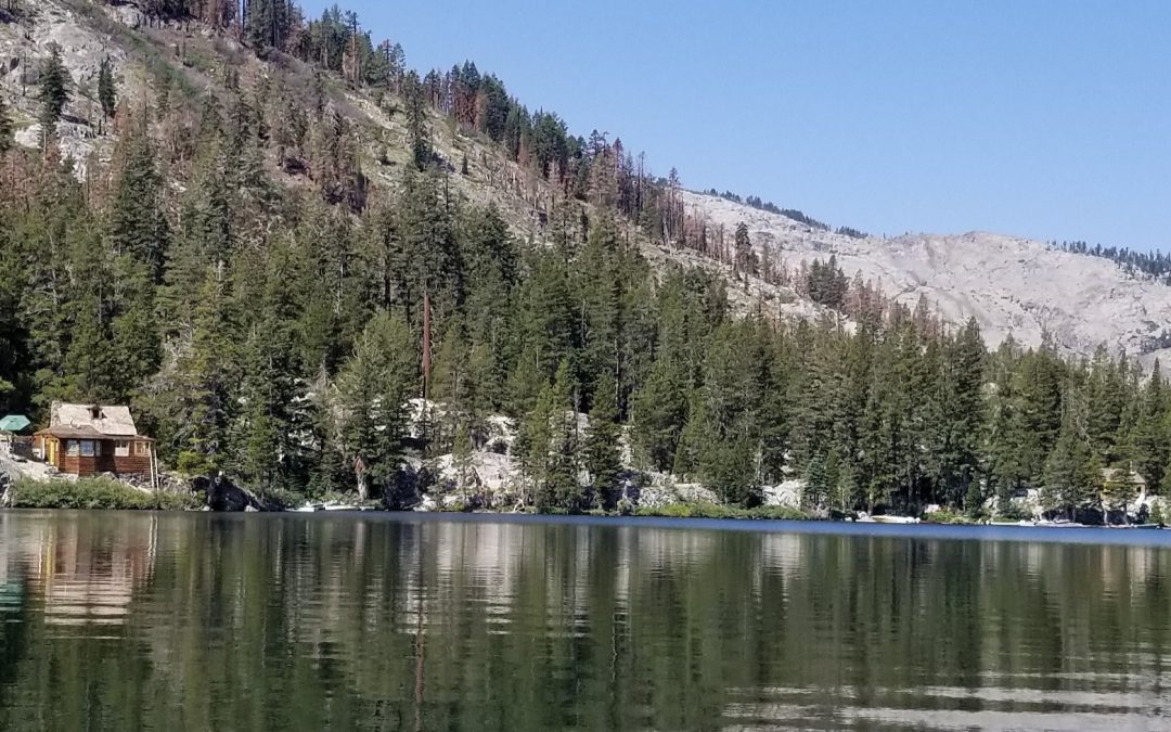 Highlights from a presentation given by Alexia Ronning, CDFW Bear Biologist